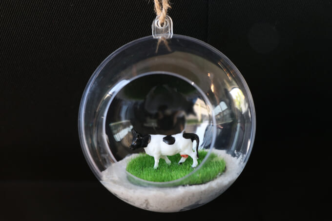 03車内テラリウム_ずーむ