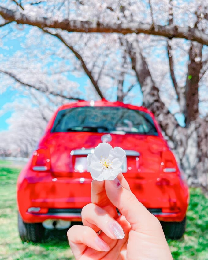 写真10