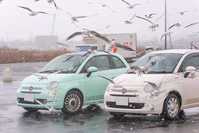 fiatlife_500さん