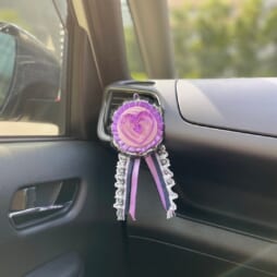 車内取り付け画像
