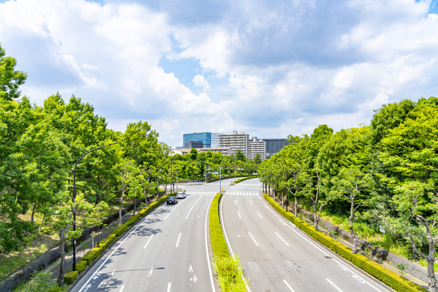 白色、黄色? 実線、破線? 道路標示の意味をおさらい! | 暮らしとくるま