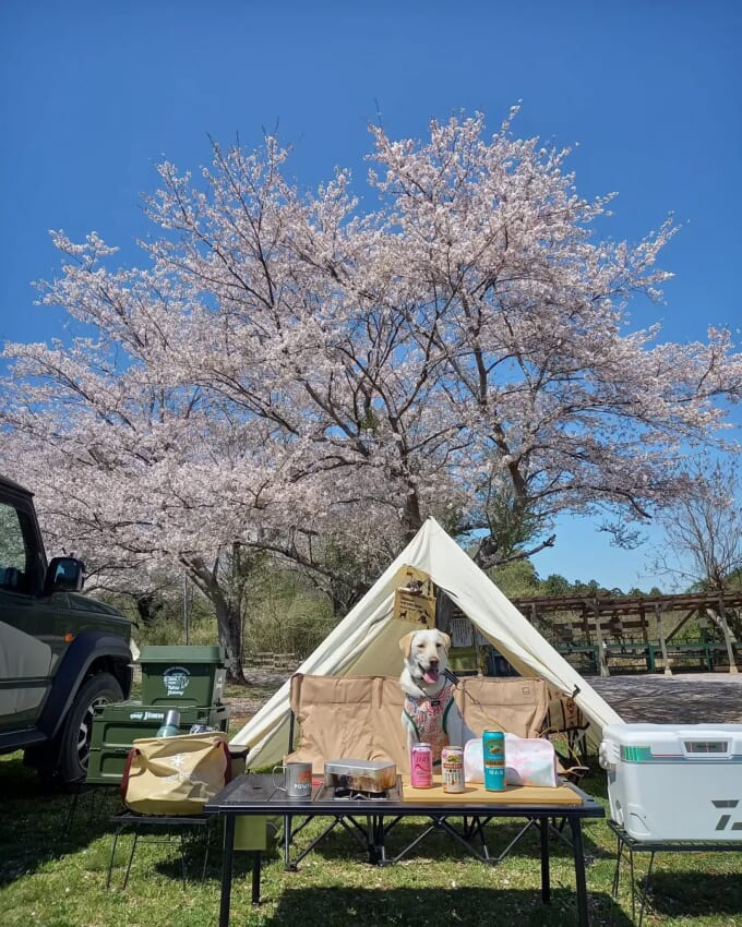 ②