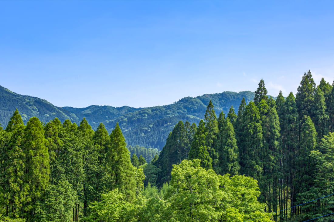 pixta_90930077_M