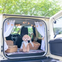 365422341_1064778484492752_5385318887893095014_n