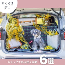 サムネ