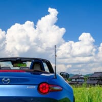 455904992_475085795489554_2466785419492921267_n