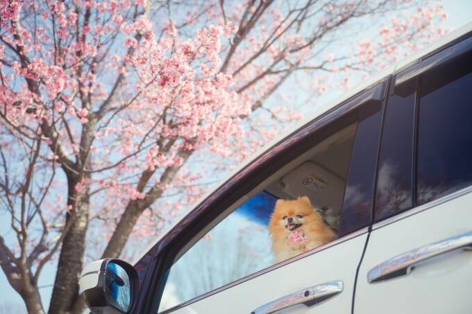 ⑥
