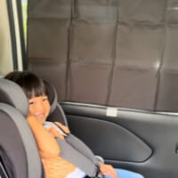 後部座席カーテン