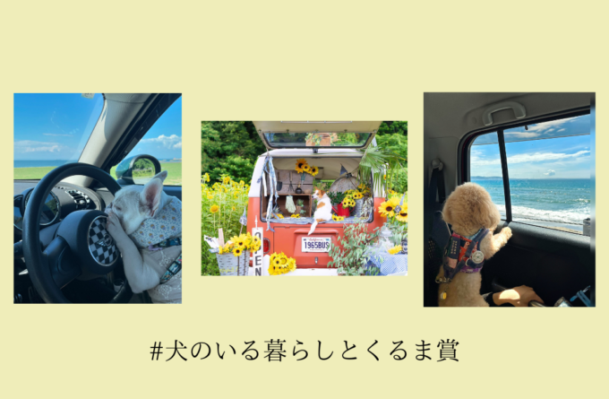 #犬のいる暮らしとくるま