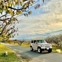 403970963_3479466685638841_1520630385225021034_n