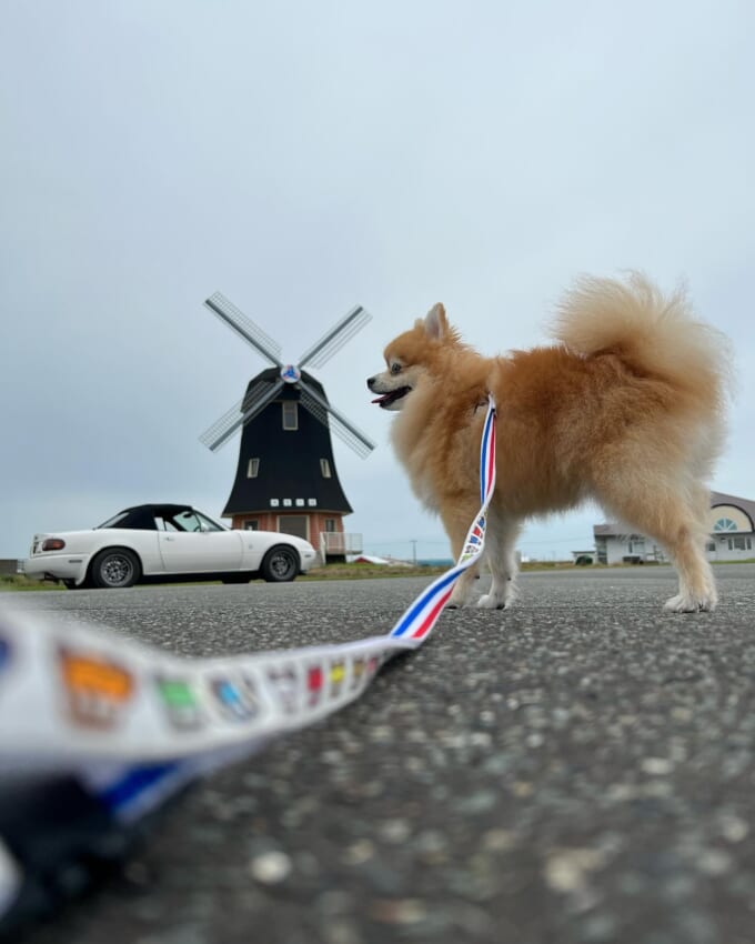 3_kyarypomepomeさん-680x850