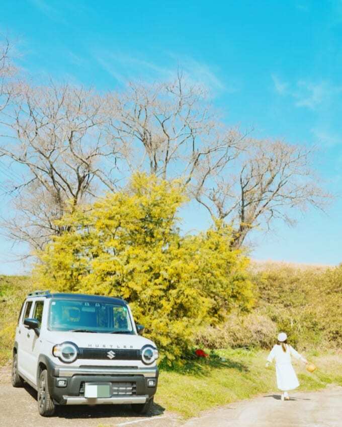 ➃sky_love_soramido