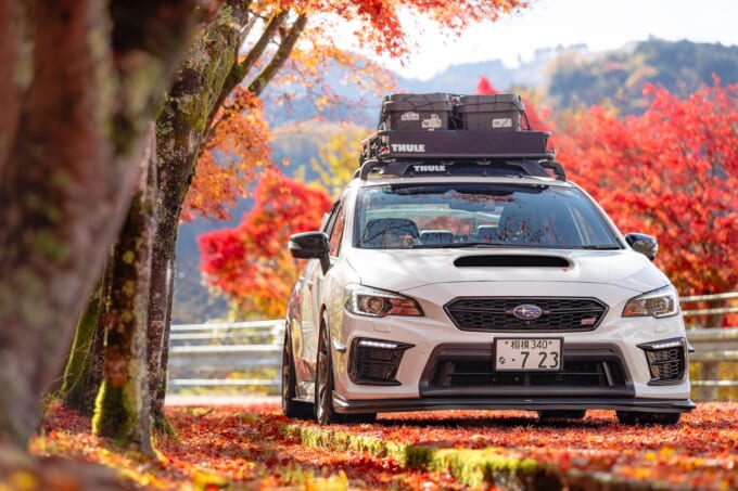 5_mycar_account_vab