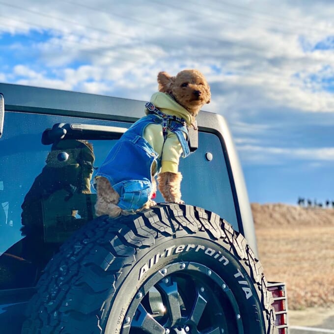 nono.2409さん受賞作品-680x680