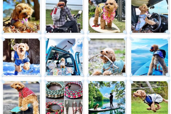 インタビューアイキャッチ