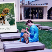 サイトアイキャッチ