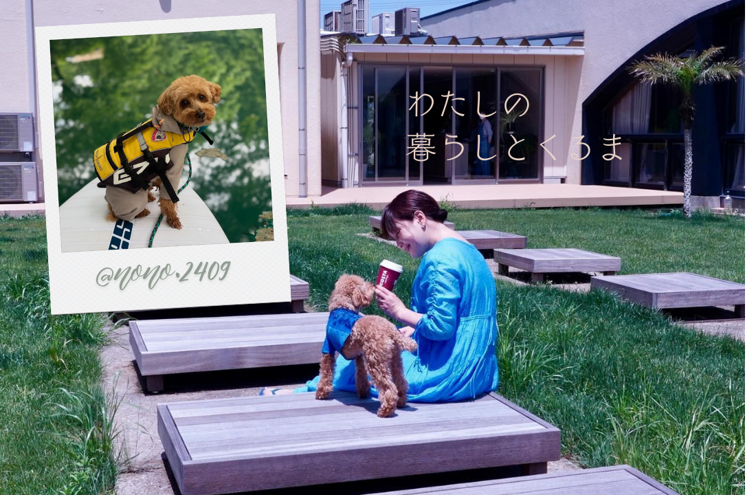 サイトアイキャッチ