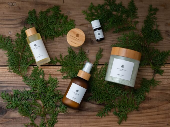 473751660_18388871104097952_2183258151512680454_n