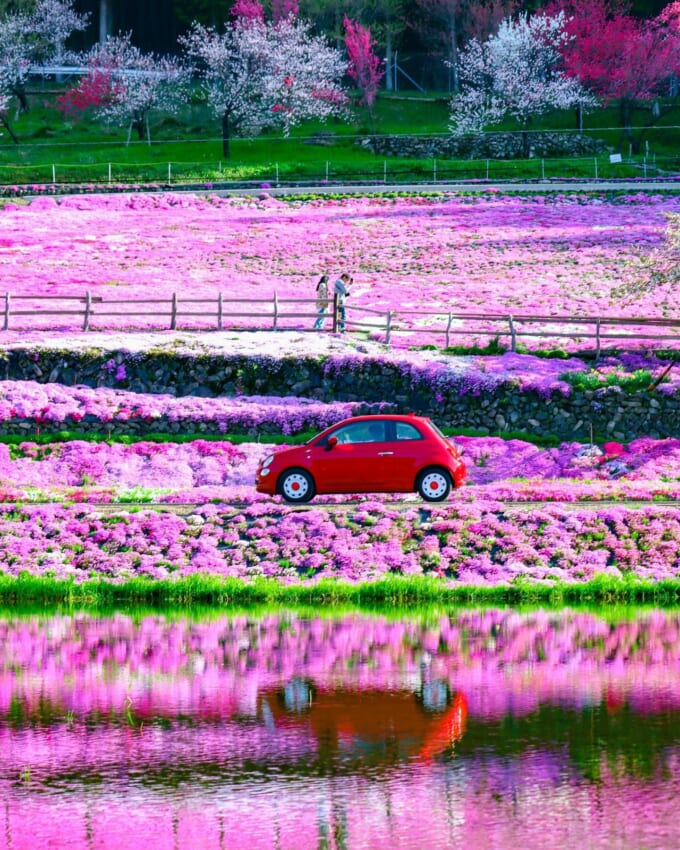 ①photo_aaayaさん