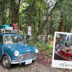 サイトアイキャッチ