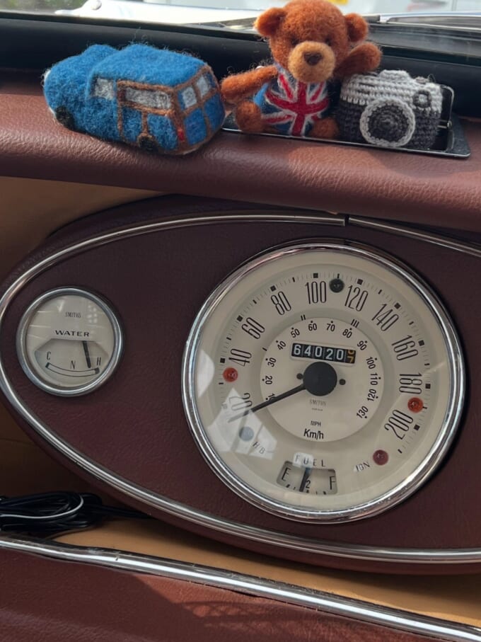 水温計と編みぐるみのカメラ