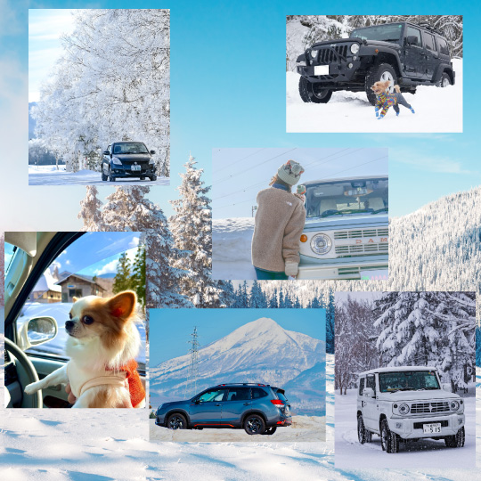 01雪景色サムネイル