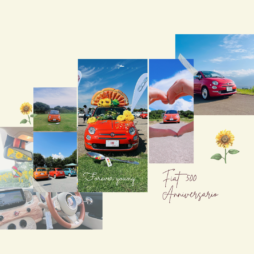 【サイトサムネイル】テンプレ (1080 x 1080 px)