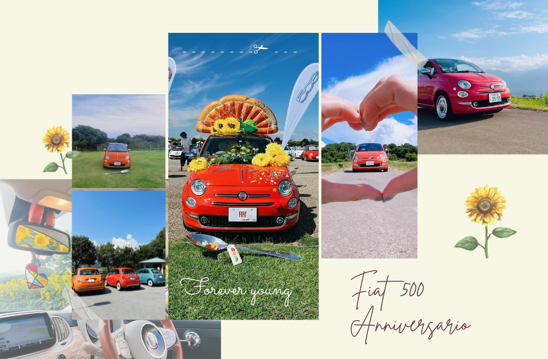 サイトアイキャッチ