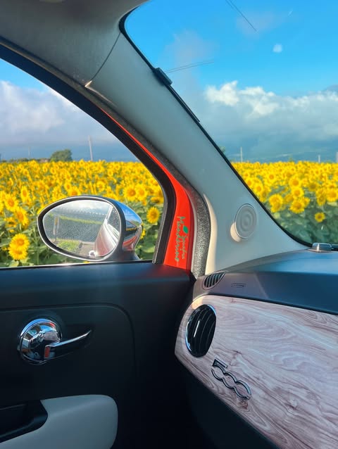 木目調インパネ