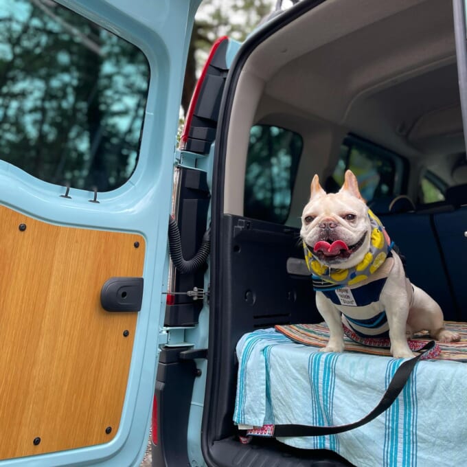 240451438_1847923468710624_54654417219795522_n