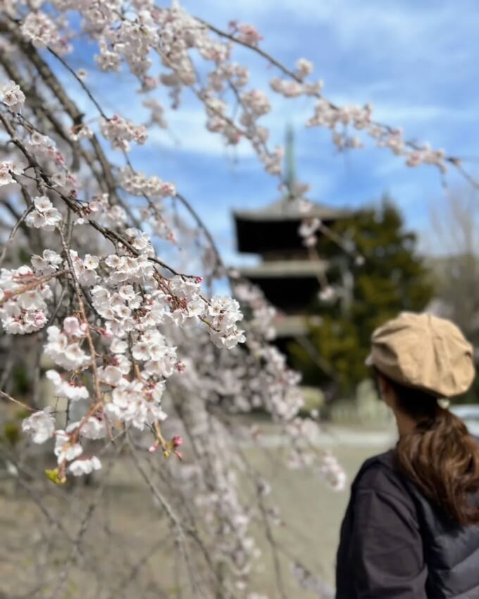 336811734_2167939086722575_2977830731968200310_n