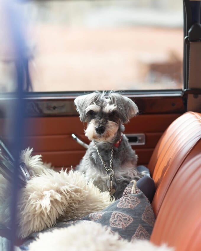 3_sho._.life.is.really.simple