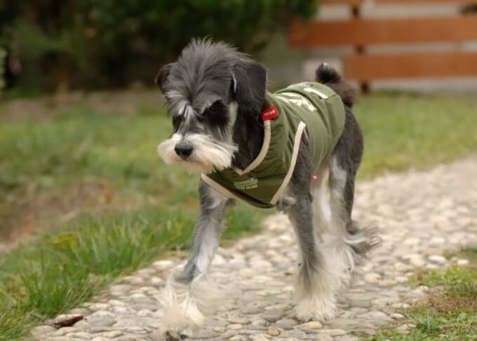 422636549_800405862099093_4116109553025834922_n