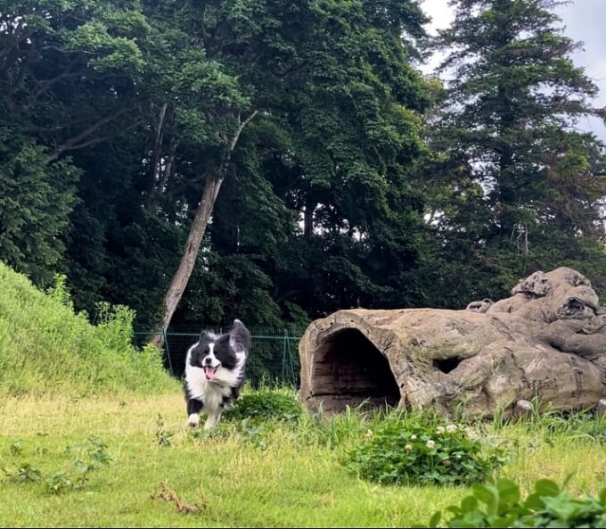 446219457_468049445606204_8411786716082364942_n