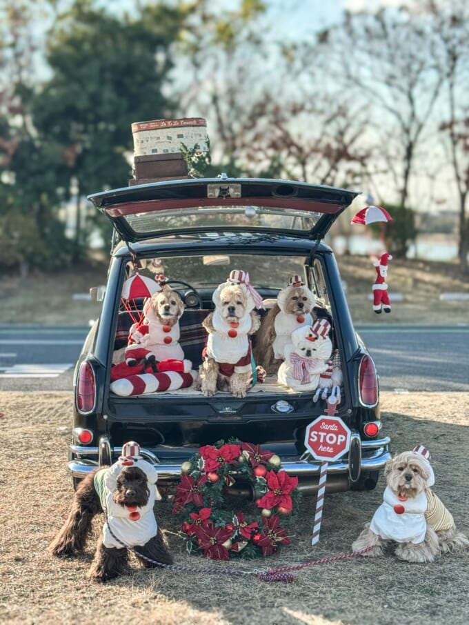 590233291_18352370998204022_7022720875679627234_n