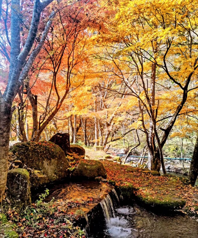 591167818_18323900512245561_6993488871343045121_n