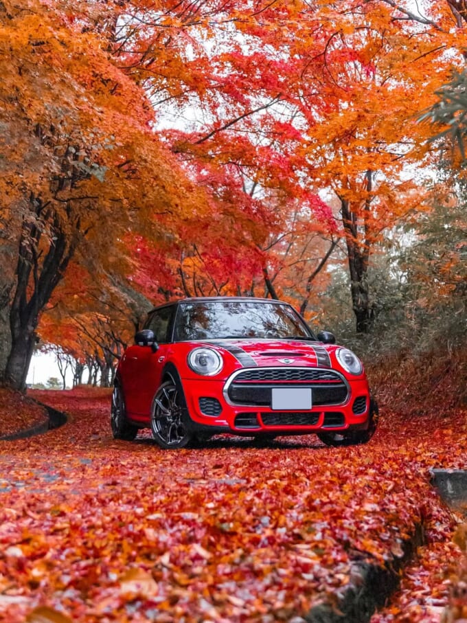 591172910_18036545531738532_2504813738019659143_n