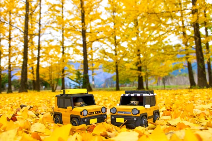 600171949_18058515548641797_3346358392062097984_n