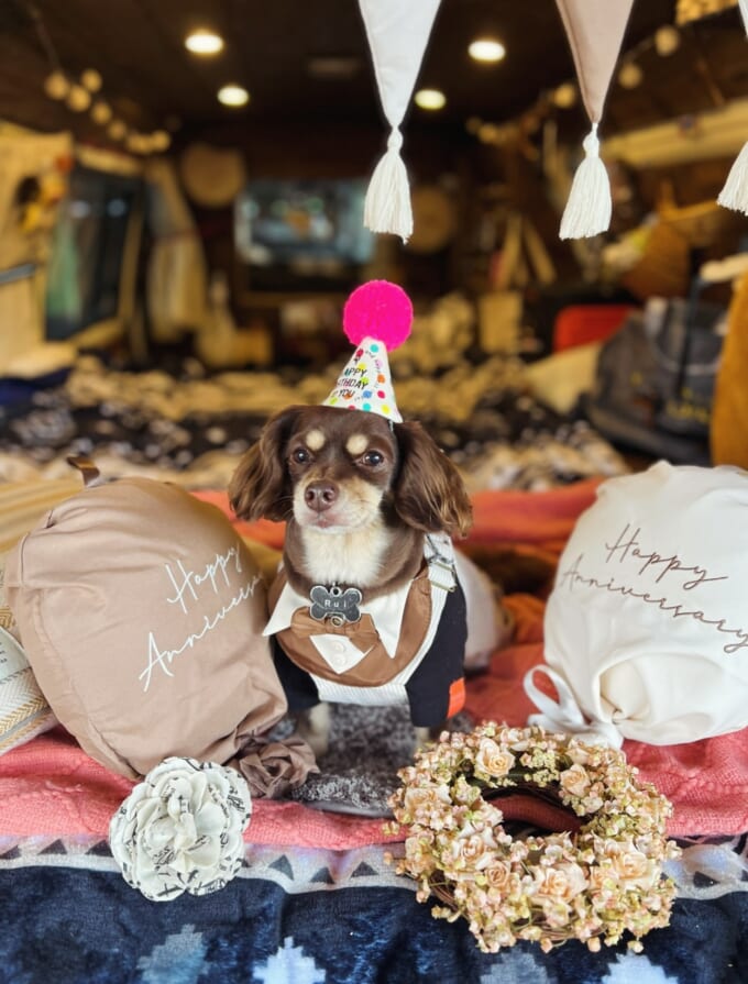 612202201_17996027171900286_1246928090627282318_n