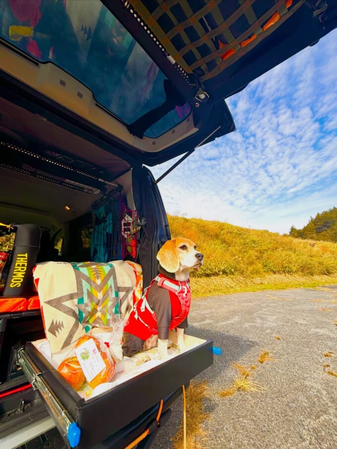 613586156_18309982762249548_994156529086919024_n