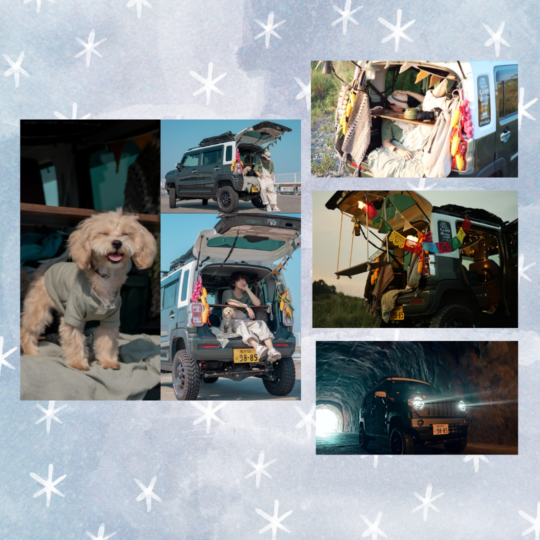 【サイトアイキャッチ】投稿紹介 (Instagramの投稿)