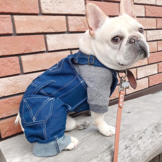 オーバーオール