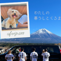 サイトサムネイル