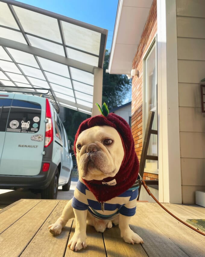 トレーナーにスヌード