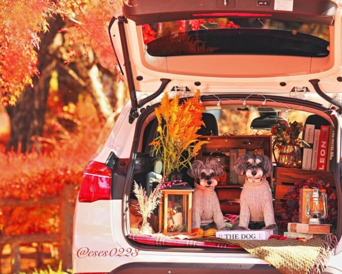 256055608_1063777367518278_8284099156326528086_n