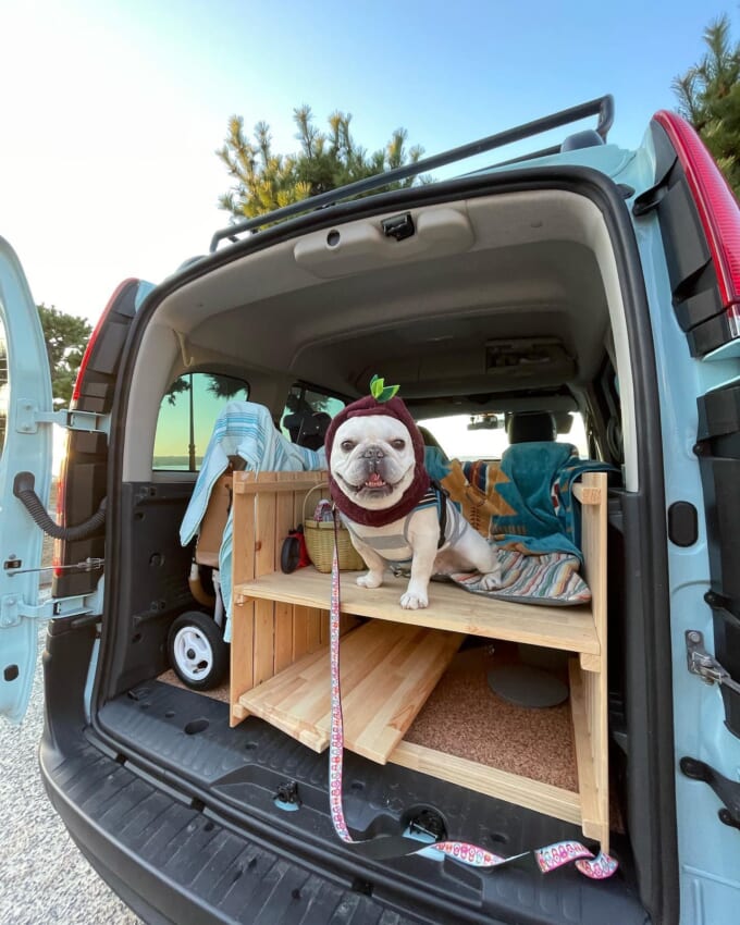 322650556_730888448629570_1986548660599179752_n