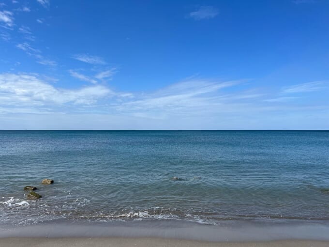 339257452_790985315961465_4389973964141055833_n