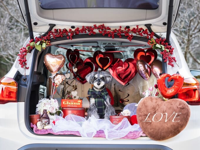 426720477_749010673560830_2311589168964136469_n