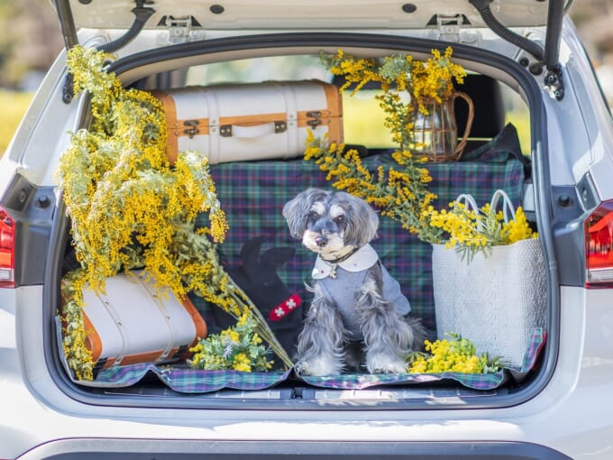 431506040_1572851683473237_5649739826225900847_n