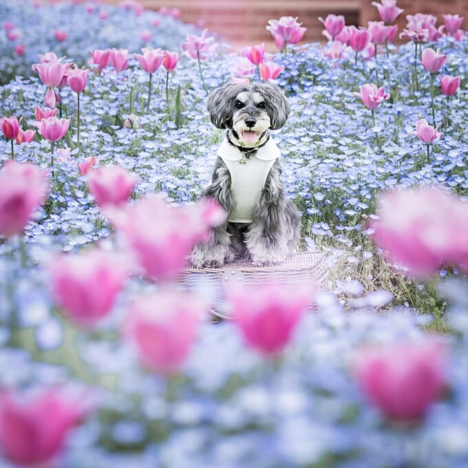 441137999_1502780233947506_4710120289149142864_n